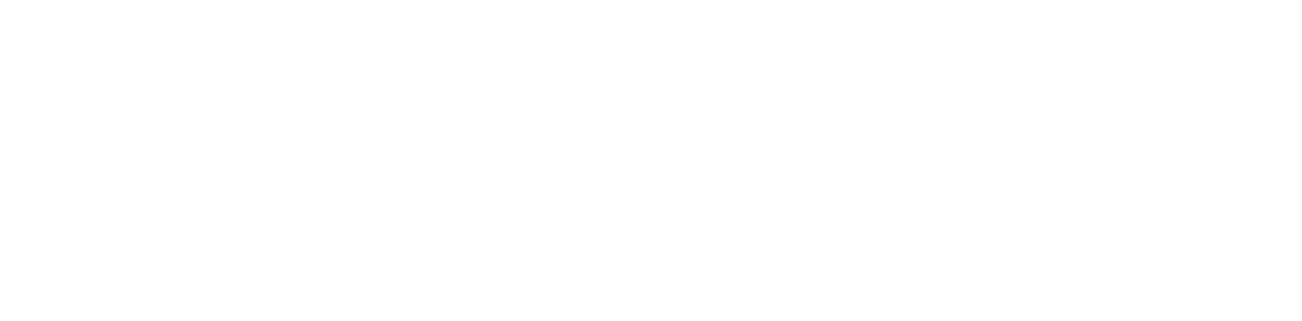 PocketX